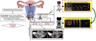 Comparing qSMI and qCEUS for assessing vascularization in uterine cervical cancer: operable versus non-operable group